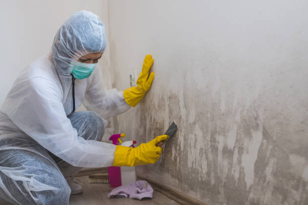 Water Damage Restoration in Serenada, TX