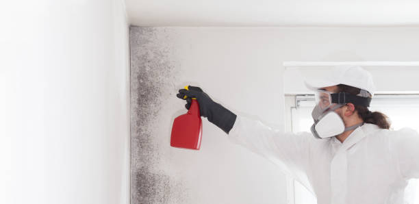 Best Crawl Space Mold Removal  in Serenada, TX
